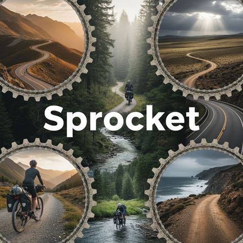 Đĩa đùi (Sprocket) là gì?