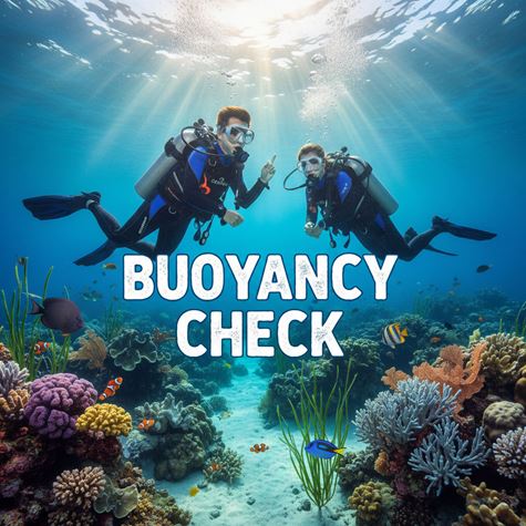 Kiểm tra độ nổi (Buoyancy Check) là gì?