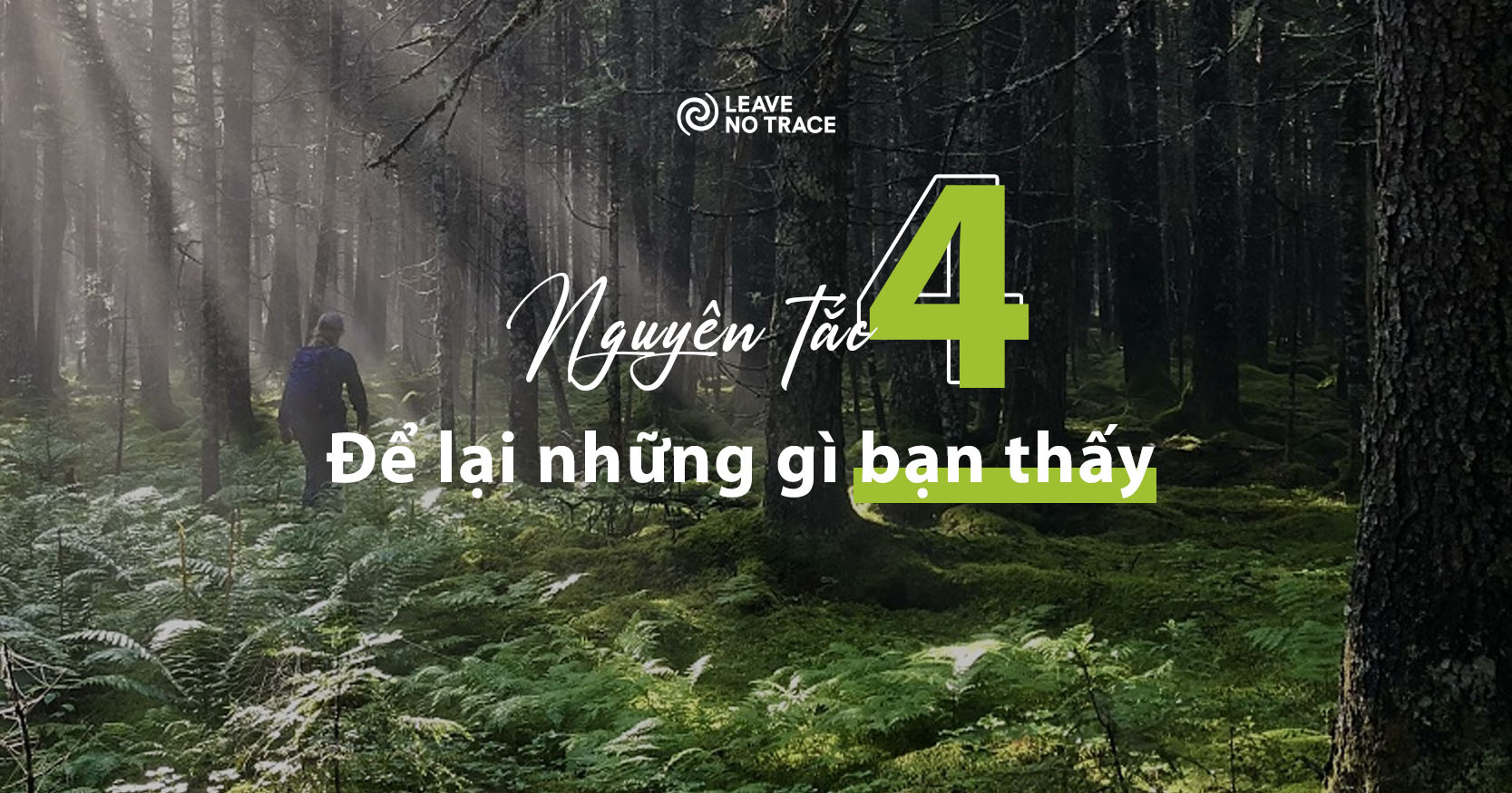 [Leave No Trace] Nguyên tắc 4: Để lại những gì bạn thấy