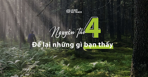 [Leave No Trace] Nguyên tắc 4: Để lại những gì bạn thấy