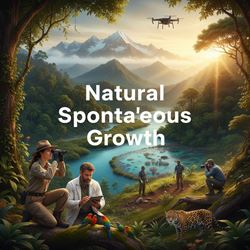 Tăng trưởng tự nhiên (Natural Spontaneous Growth) là gì?