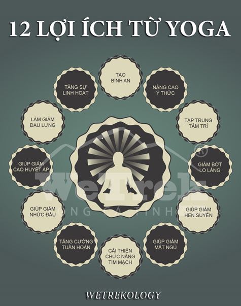 [Infographic] 12 lợi ích từ Yoga