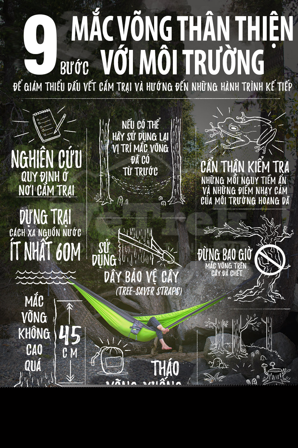 [Infographic] 9 bước mắc võng thân thiện với môi trường