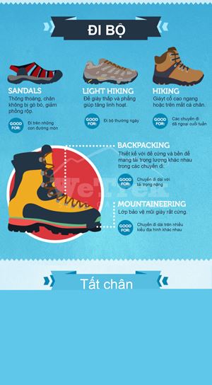[Infographic] Các Mẫu Giày Dã Ngoại và Công Dụng Của Từng Loại 