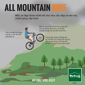 [Infographic] Tìm hiểu các loại xe đạp - All Mountain Bike