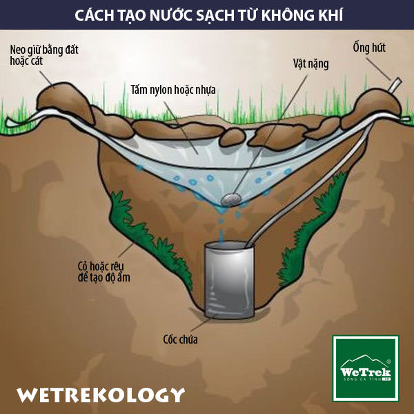 [Infographic] Bí quyết tự tạo nước sạch từ không khí đơn giản mà hiệu quả khi đi dã ngoại