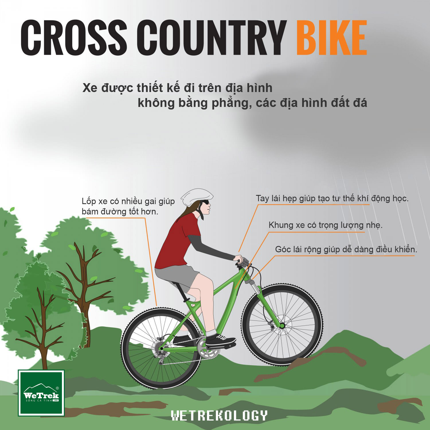 [Infographic] Tìm hiểu các loại xe đạp - Cross Country Bike