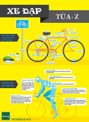 [Infographic] Tất tần tật về xe đạp