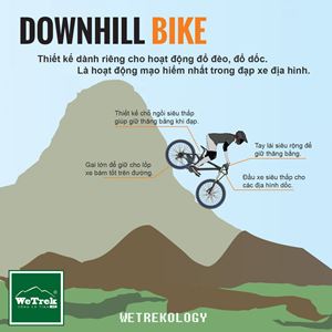 [Infographic] Tìm hiểu các loại xe đạp - Downhill Bike