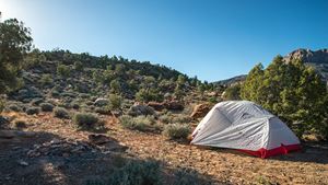[WeTrekology] Hướng dẫn lựa chọn khu cắm trại ở vùng hoang dã
