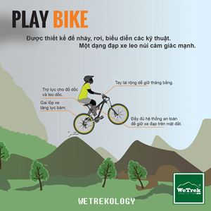[Infographic] Tìm hiểu các loại xe đạp - Play Bike