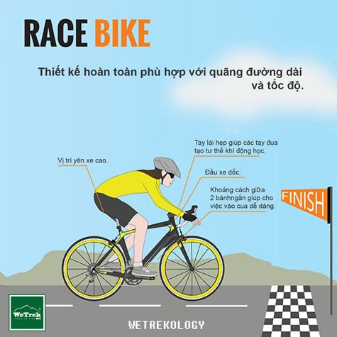 [Infographic] Tìm hiểu các loại xe đạp - Race Bike