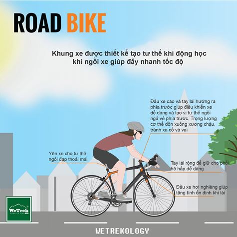 [Infographic] Tìm hiểu các loại xe đạp - Road Bike