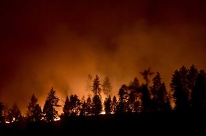 [WeTrekology] Những điều cần biết để giữ an toàn khi gặp cháy rừng trong chuyến dã ngoại