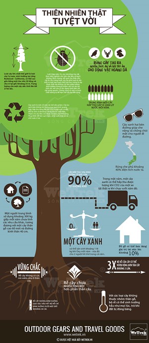[Infographic] Thiên nhiên thật tuyệt vời!