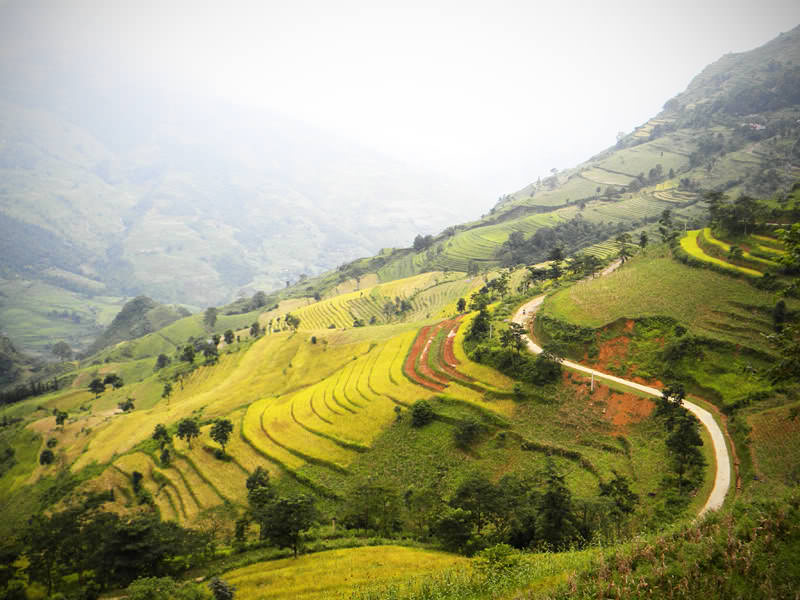 HOÀNG SU PHÌ - THỎA CHÍ TANG BỒNG