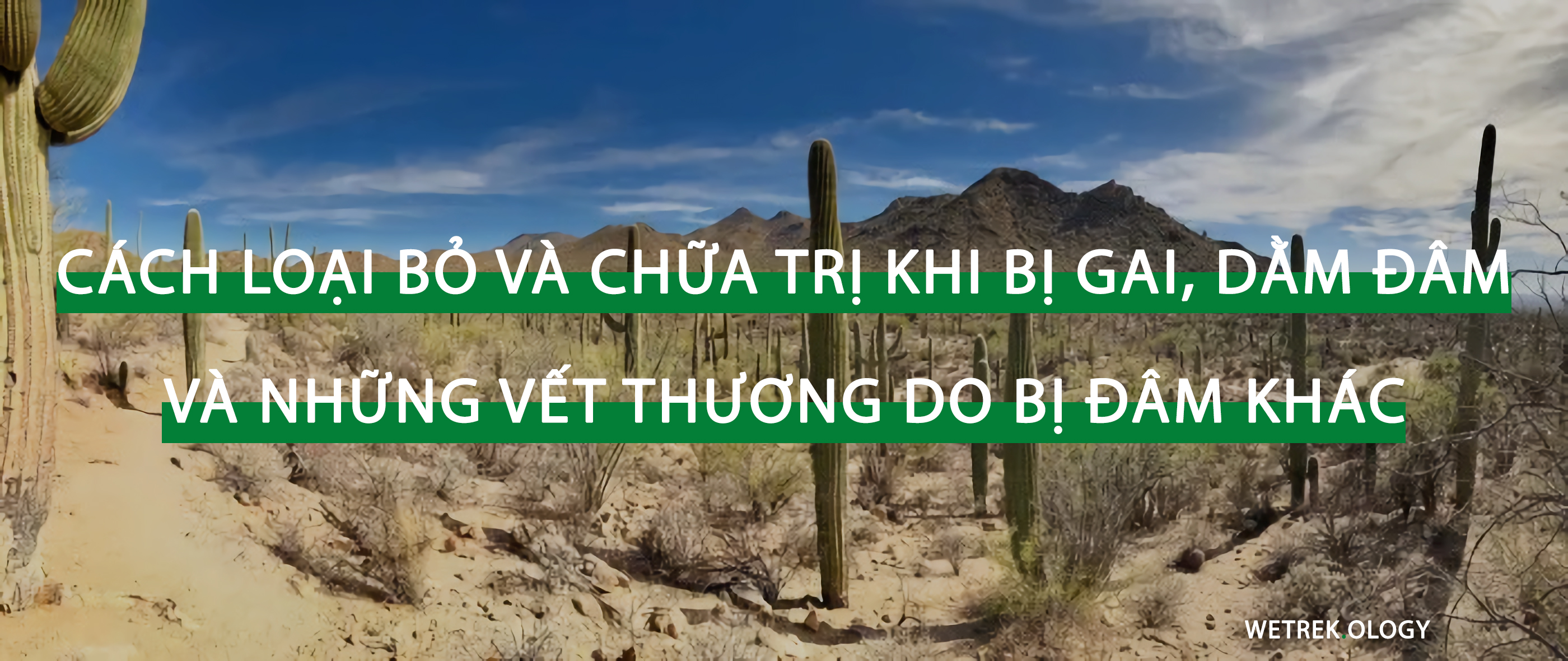 [WeTrekology] Hướng Dẫn Cách Loại Bỏ Và Chữa Trị Khi Bị Gai, Dằm Đâm Và Những Vết Thương Do Bị Đâm Khác