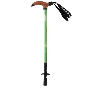 Gậy leo núi Coleman T-1 Trekking Pole Low Leaf Green 2000026822 - 7474