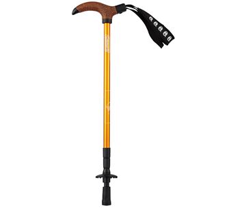 Gậy leo núi Coleman T-1 Trekking Pole Marigold 2000026823 - 7475