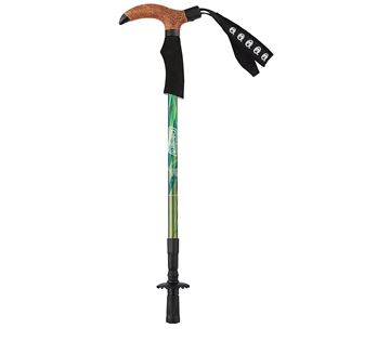 Gậy leo núi Coleman T-2 Trekking Pole Mid Forest Green 2000026824 - 7476