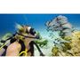 Kính lọc lặn cho vỏ Super Suite GoPro Blue Water Dive Filter AAHDR-001 - 7701