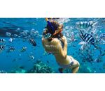Kính lọc lặn GoPro Blue Water Snorkel Filter AACDR-001 - 7702
