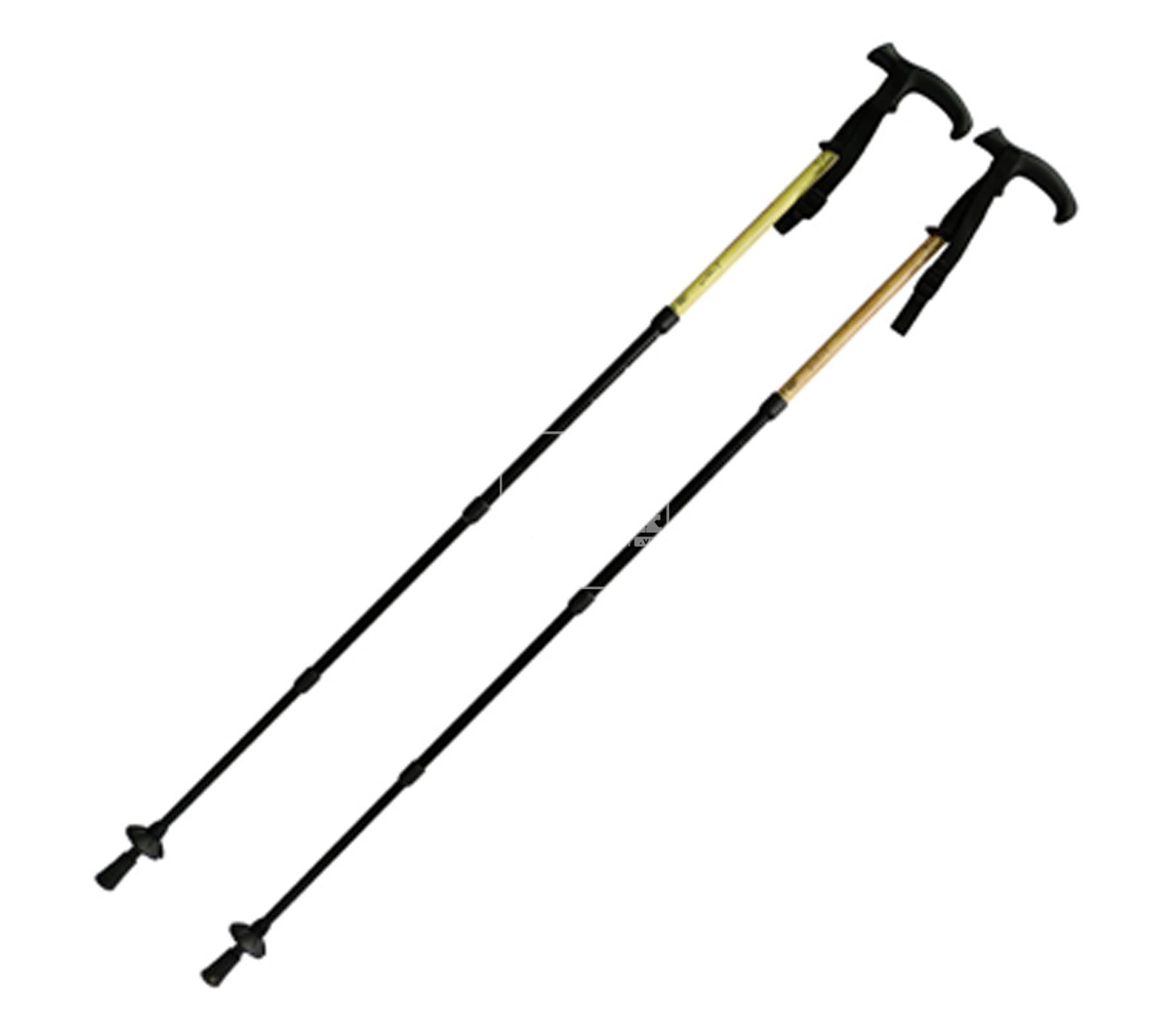 Gậy leo núi Track Man Trekking Pole TM6709 – 7905