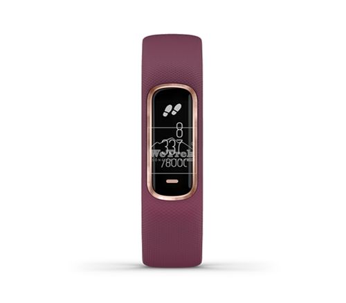 Vòng đeo tay theo dõi sức khỏe Garmin Vivosmart 4 Merlot/Rose Gold S/M - 8717