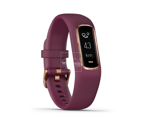 Vòng đeo tay theo dõi sức khỏe Garmin Vivosmart 4 Merlot/Rose Gold S/M - 8717