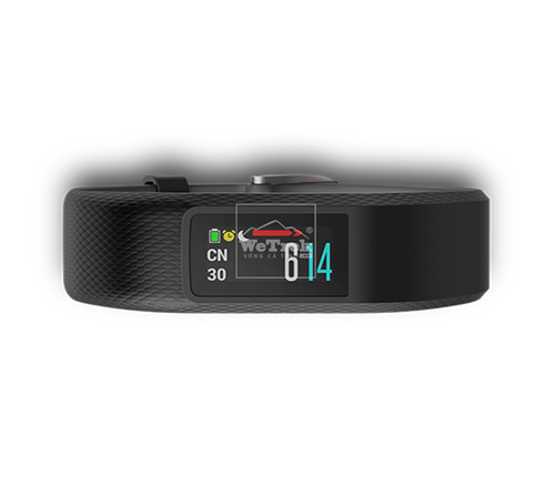 Vòng đeo tay theo dõi sức khỏe Garmin Vivosport Slate (Large) - 8722