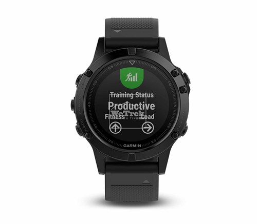 Đồng hồ thông minh Garmin Fenix 5 Sapphire/Black Band - 8746