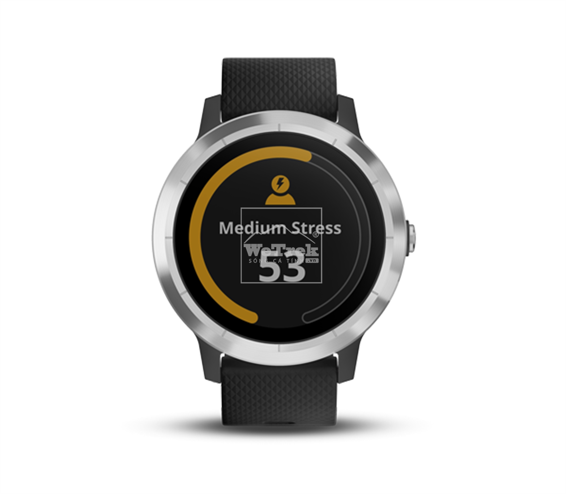 Đồng hồ thông minh Garmin Vivoactive 3 Black & Stainless - 8730