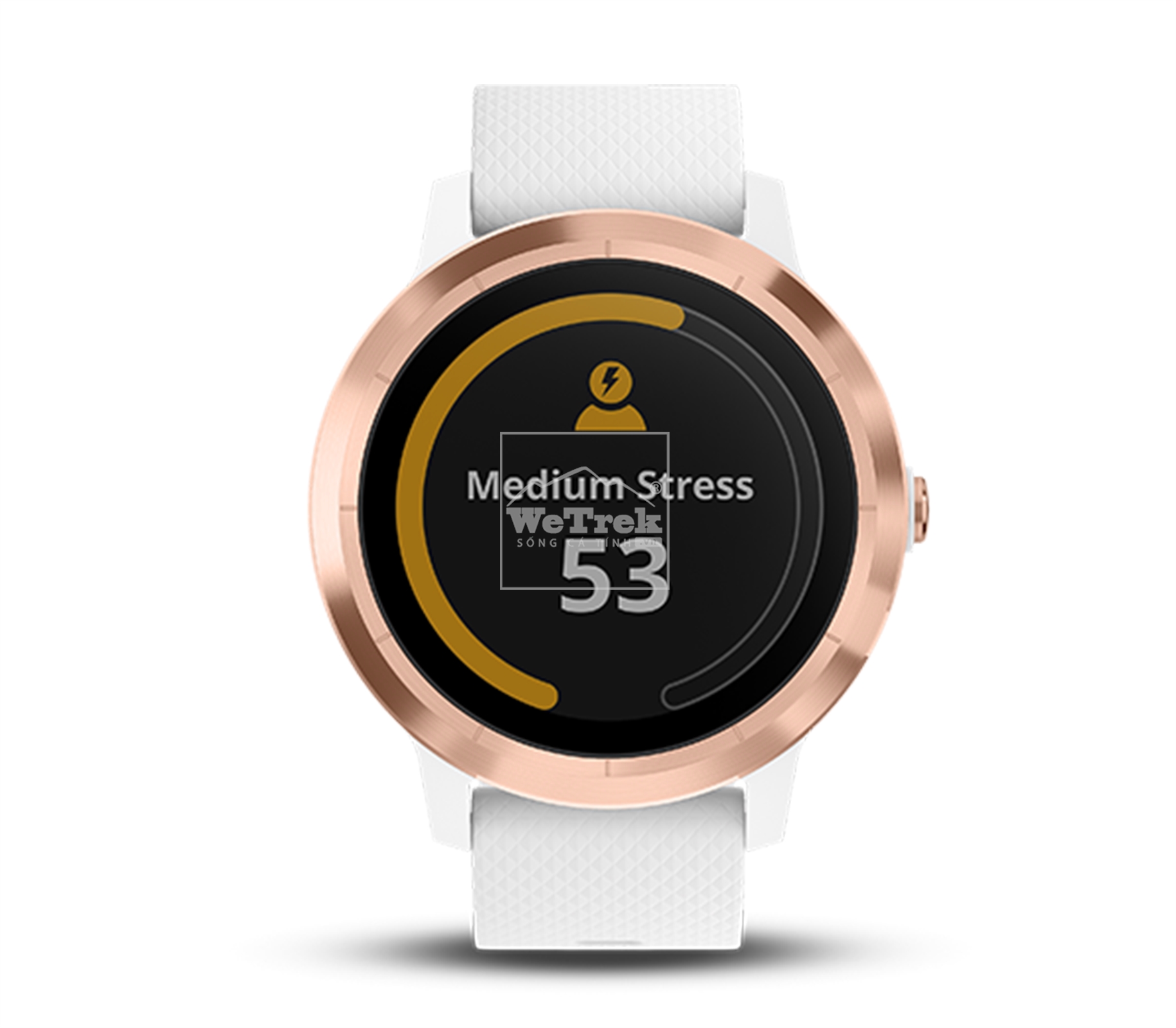 Đồng hồ thông minh Garmin Vivoactive 3 White & Rose Gold - 8732