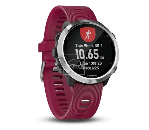 Đồng hồ thông minh Garmin Forerunner 645 Music Cerise Band - 8742