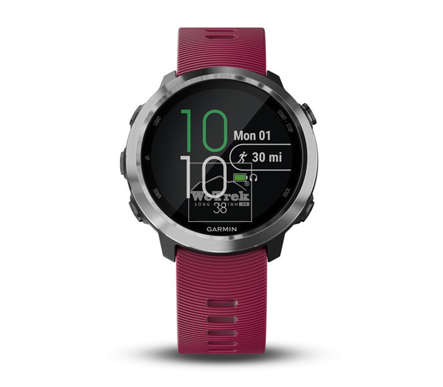 Đồng hồ thông minh Garmin Forerunner 645 Music Cerise Band - 8742