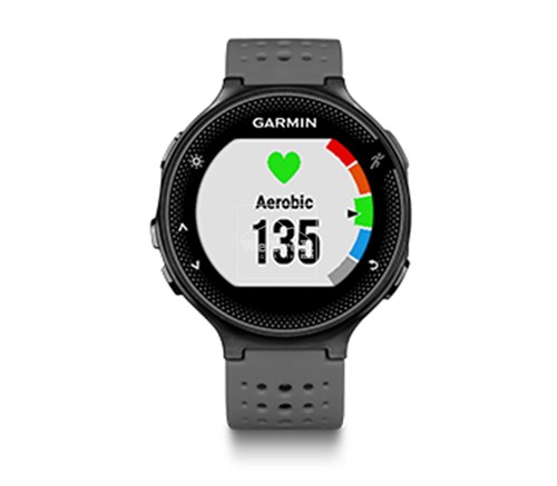 Đồng hồ thông minh Garmin Forerunner 235 Gray/Black - 8738