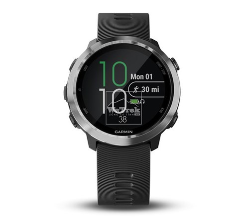 Đồng hồ thông minh Garmin Forerunner 645 Music Slate Band - 8739