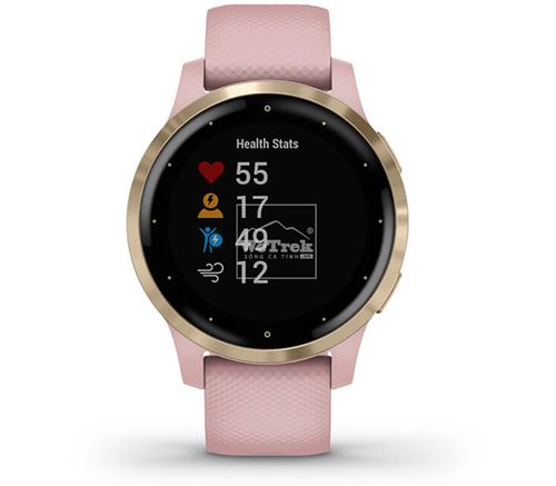 Đồng hồ thông minh Garmin Vivoactive 4S Dust Rose/Light Gold - 9428