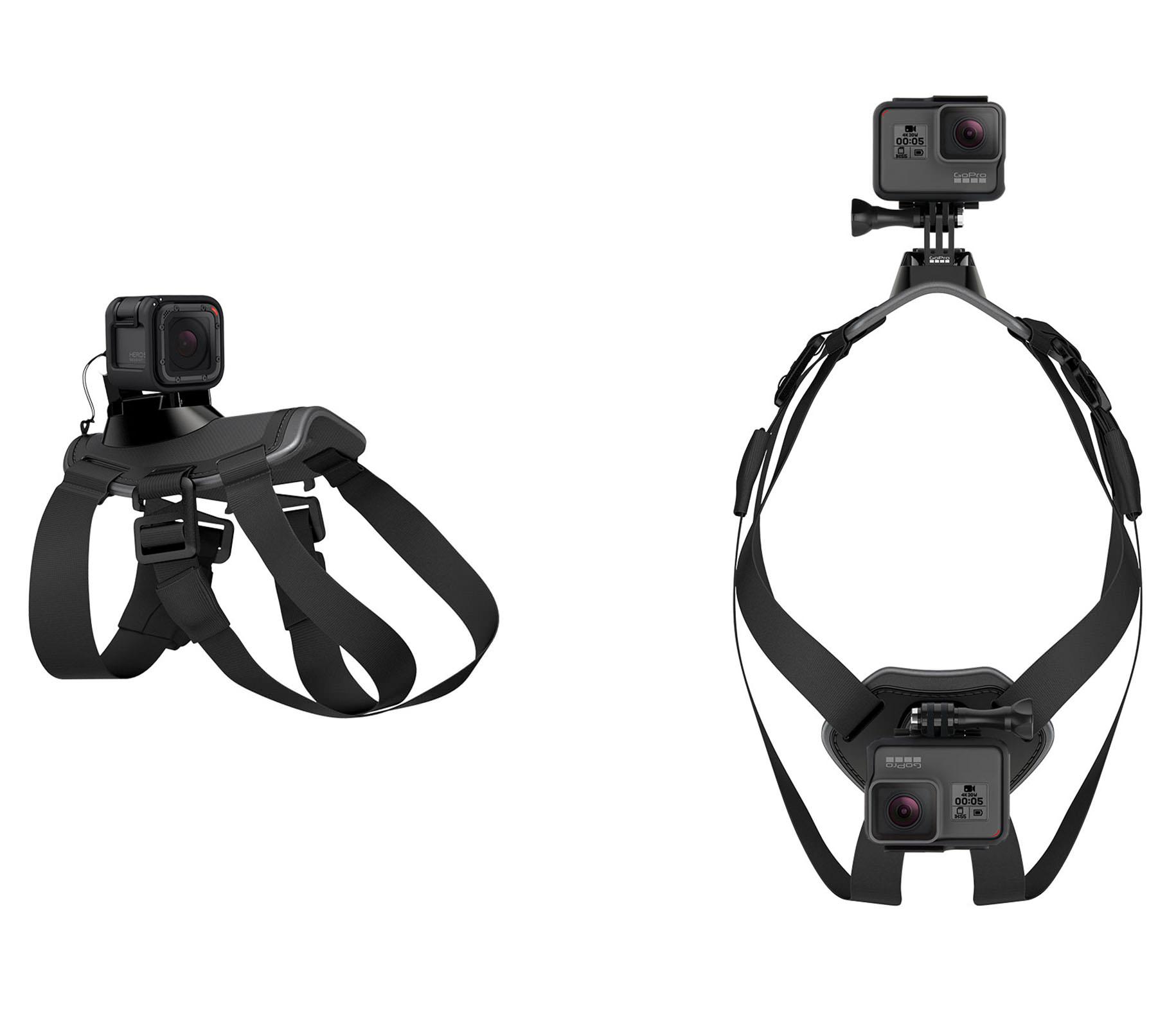 Dây đeo thú cưng GoPro Fetch (Dog Harness) ADOGM-001 - 3537