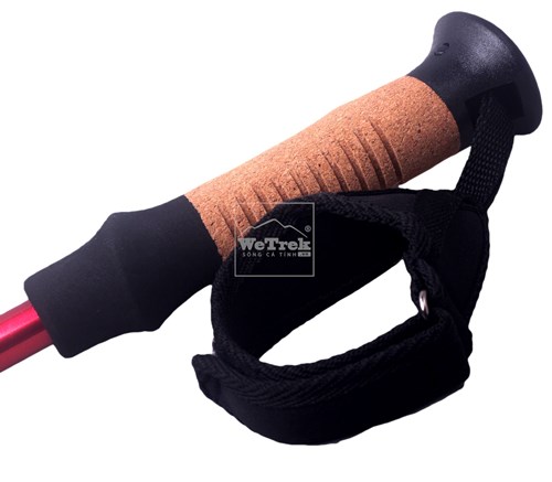 Gậy leo núi chống sốc Ryder Straight-Bar Hiking Pole G0001 - 3293