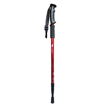 Gậy leo núi Camel Straight Hiking Poles 2SA7D41-1