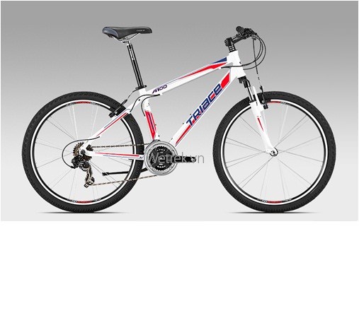 Xe đạp TRIACE  A100