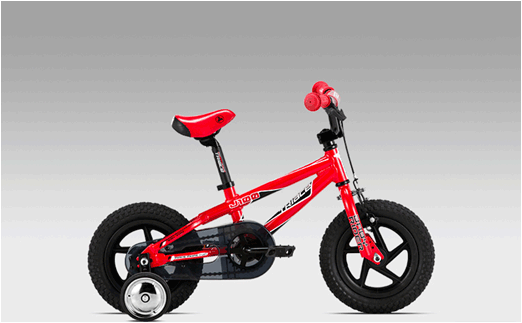 Xe đạp TRIACE J100