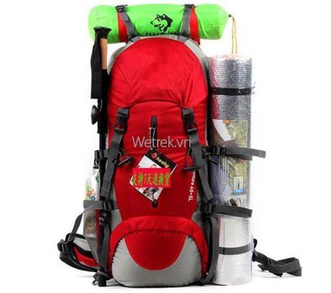 Balo Du lịch Senterlan 45+5 L