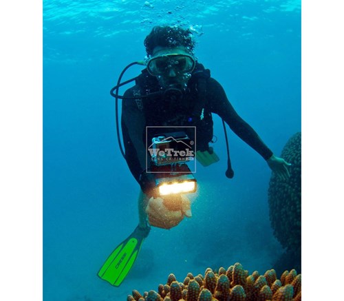 Đèn máy quay GoPro SP POV Light - 6425