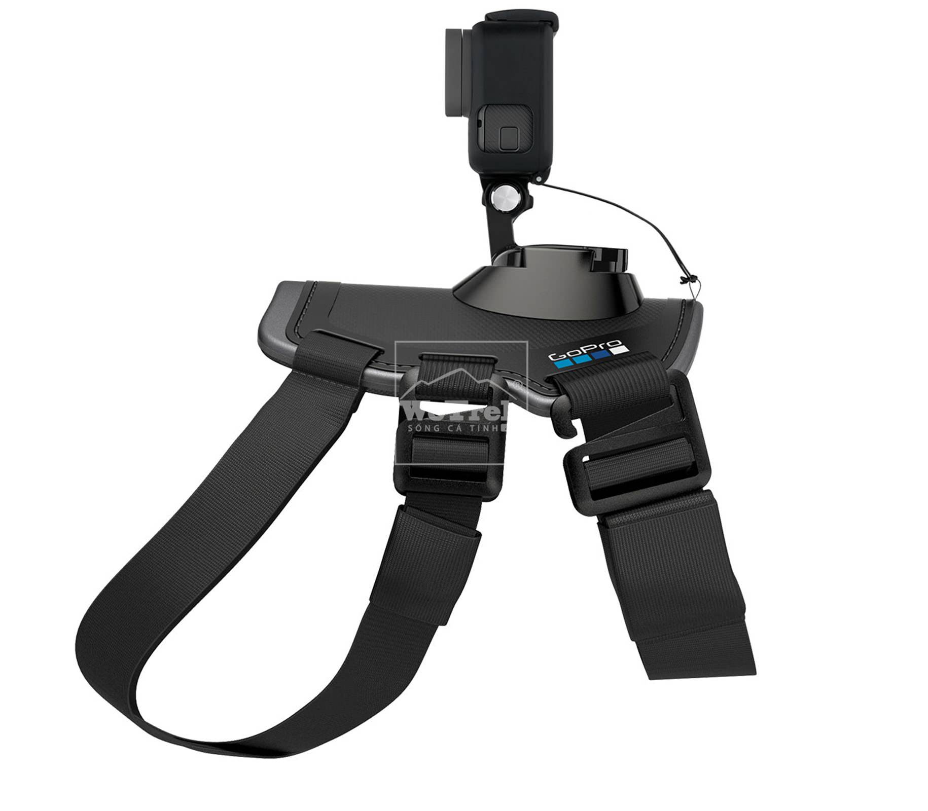 Dây đeo thú cưng GoPro Fetch (Dog Harness) ADOGM-001 - 3537