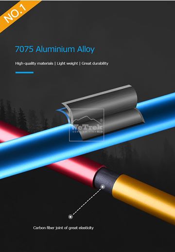 Gậy chạy bộ Aonijie Carbon Poles E4201