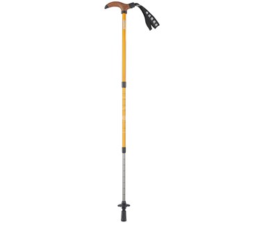 Gậy leo núi Coleman T-1 Trekking Pole Marigold 2000026823 - 7475