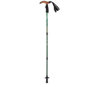 Gậy leo núi Coleman T-2 Trekking Pole Mid Forest Green 2000026824 - 7476