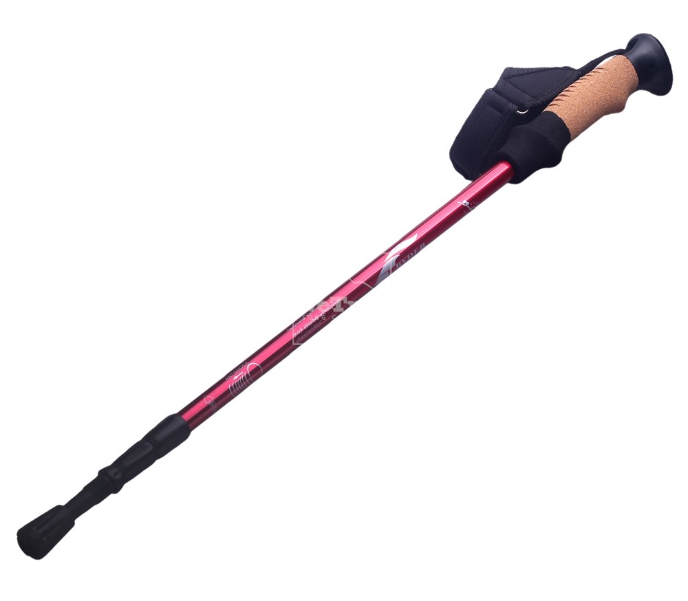 Gậy leo núi chống sốc Ryder Straight-Bar Hiking Pole G0001 - 3293